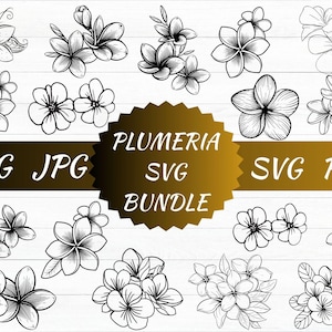 Plumeria Bundle SVG, Plumeria florals svg, Plumeria PNG instant digital downloads