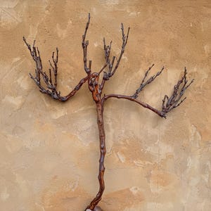 Large 33&quot;w x 26&quot;h, Grape Vine, Wall Art, Wood Wall Art, Winery Decor, Driftwood Wall Art, Wood Sculpture, Vineyard Decor, Texas Decor, Farm