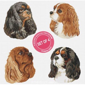 May include: Four Cavalier King Charles Spaniel dog portraits in a cross stitch pattern. The dogs have brown, black, and white fur. A pink circle with the text "SET OF 4 DOWNLOAD" is in the centre.
