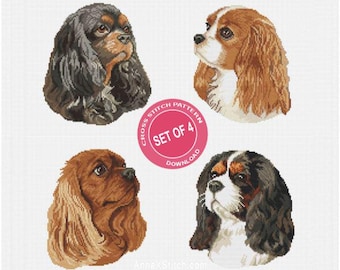 Set of 4 Cavalier king charles spaniel dogs counted cross stitch patterns pdf: ruby, bleheim, tri-color, black and tan Digital file AXS0357