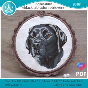 May include: A cross-stitch pattern of a black Labrador Retriever dog's face, framed in a brown hoop with a decorative edge. The pattern is on white fabric, with the text "AnnaXstitch" and "black labrador retriever" at the top. The pattern size is 6.64 x 7.14 inches.