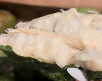 SOURSOP GUANABANA FRUIT