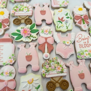 Custom Baby shower decorated cookies (Chef Zorzin)