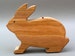 Wooden Bunny Piggy Bank Rabbit Coin Bank for Kids Children Baby Shower Present Money Savings bank Animal Toy Bank Personalized Easter Bunny 