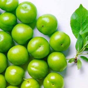 Organic Green Plums – Fresh Tart Seasonal Fruit – Garden Harvest – Greengage – Janerik – Fresh Sour Plums – Traditional Erik–Crisp Tart Plum