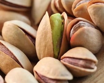 Pistaches turques grillées : Antep Fistik frais en coque