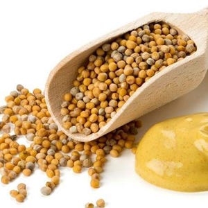 Organic Yellow Mustard Seeds – Whole Natural Spices for Cooking – Fresh & Aromatic Flavors – Spice Bazaar – Delicious Mustard– 0.44lb - 200g