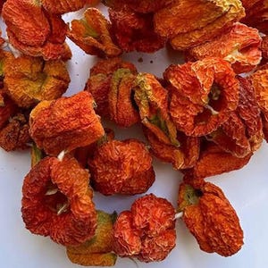 Natural Sun-Dried Red Peppers – Dried Peppers for Stuffing and Cooking – Organic Dried Vegetable – Gourmet Pantry Ingredient – 10 Pieces