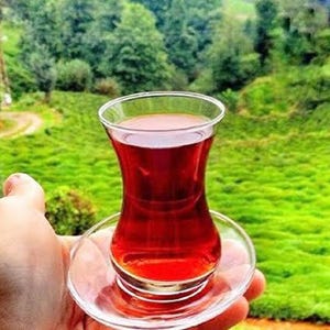 May include: A glass tea cup filled with red liquid, on a small saucer. The cup is held in a hand, with a green landscape in the background. The tea cup has a distinctive, curved shape. The background features trees.