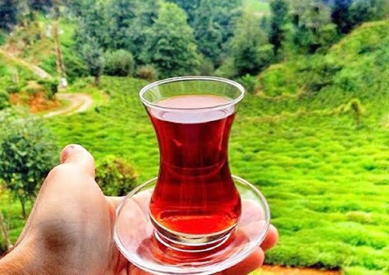 May include: A glass tea cup filled with red liquid, on a small saucer. The cup is held in a hand, with a green landscape in the background. The tea cup has a distinctive, curved shape. The background features trees.