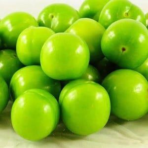 Fresh Crunchy Green Plums – Premium Turkish Sour Green Plum – Seasonal Fruit –  Handpicked –  Organic Taste – Greengage – Janerik – Generik