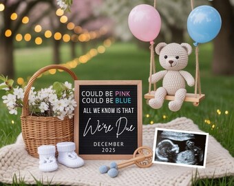 May include: A charming pregnancy announcement scene. A woven basket with white flowers, baby booties, and a sign that reads "Could be Pink, Could be Blue, We're Due December 2025." A crocheted teddy bear swings between pink and blue balloons.