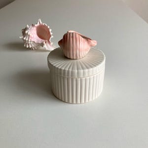 May include: A white ceramic container with a ridged design, topped with a small, pink seashell-shaped object. A larger, pink and white seashell sits to the left. The objects are on a white surface.