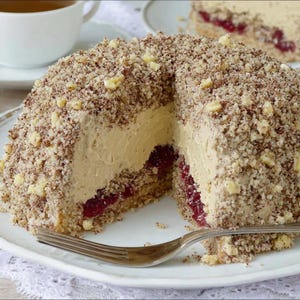 BEST RECIPE for Cappuccino Dome Cake Recipe | English and German | Instant Download PDF | Instant Download pdf | Delicious Homemade Dessert