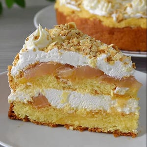 BEST RECIPE for Snow Mousse Cake with Rhubarb Recipe | English and German | Instant Download PDF | Instant Download pdf | Digital Recipe