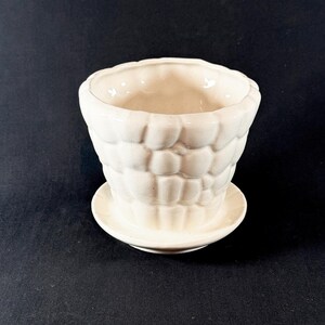 May include: Off-white ceramic planter with a textured, bubble-like pattern. The planter sits on a matching saucer, creating a cohesive look. The design is simple and elegant, suitable for small plants or succulents.