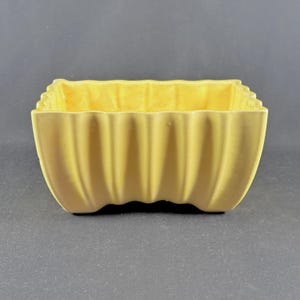 May include: A rectangular, yellow ceramic planter with a wavy, ribbed design. The planter has a slightly scalloped rim and a smooth, matte finish. The interior is a lighter shade of yellow.