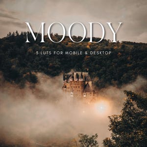 Puede incluir: Imagen con la palabra "MOODY" en blanco. Debajo, el texto "3 LUTS FOR MOBILE & DESKTOP". La imagen muestra un castillo en un bosque, parcialmente oculto por la niebla. El castillo está iluminado por una luz cálida.
