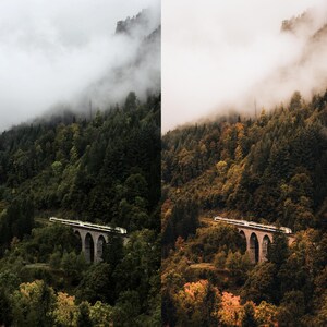May include: A photograph of a train on a stone bridge in a forest, with mist and clouds. The bridge has multiple arches and spans a valley filled with trees. The train is white and green, and the forest is a mix of green and autumnal colours.