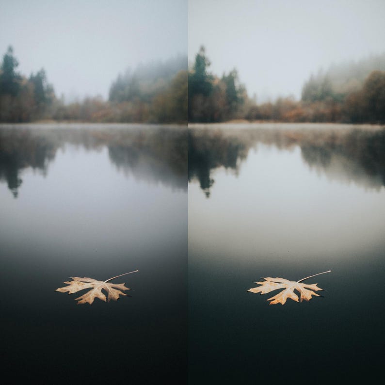 May include: A tranquil scene of a lake with a single, golden-brown leaf floating on the water. The background features a blurred forest and a misty sky, creating a peaceful, natural environment.