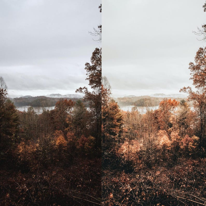 May include: A landscape photograph of a forest in autumn. The image shows trees with brown and orange leaves, a body of water, and a cloudy sky. The colour palette is muted, with a focus on natural tones.