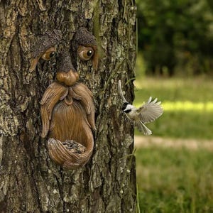 May include: A brown tree sculpture with a face carved into the bark, featuring eyes, a nose, and a long beard. The sculpture has a bird feeder in the shape of a mouth. A small bird with white and black feathers flies nearby.