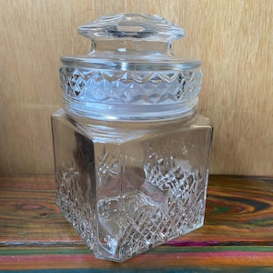 Repurposed Quilted Glass Terrarium Planter, Hand Drilled Cloche, Humidity Dome Planter