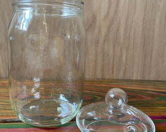 Terrario pequeño para una sola planta, apto para plantar directamente, con tapa de cristal. Jarrarium cloche.