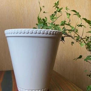 May include: A light gray ceramic planter with a beaded design around the top and bottom edges. Green ivy plant with small leaves is growing out of the planter. The planter is on a wooden surface.