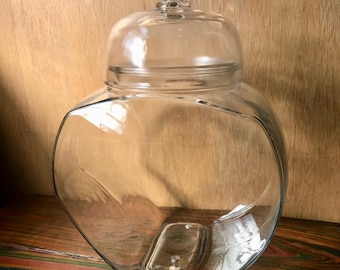 Directly Plantable Candy Jar Terrarium
