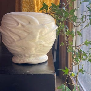 Può includere: Un vaso in ceramica strutturata color crema, di forma arrotondata e con una piccola base. Il vaso presenta un design unico e a spirale sulla sua superficie. L'edera verde con piccole foglie appuntite cresce dal vaso. Il vaso è su una superficie nera.