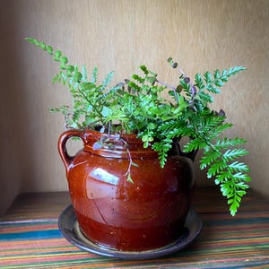 Brown Ceramic with Handles and Drainage Holes Plant Pot, Directly Plantable Modern Farmhouse Crock Planter