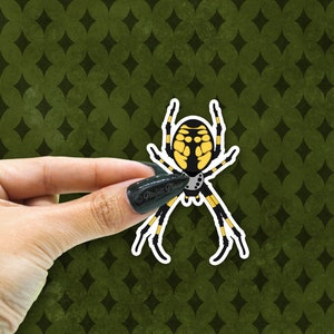 Orb Weaver Spider Vinyl Sticker