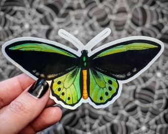 Green Birdwing Butterfly Holographic Sticker - Vinyl, Machine Die Cut & Water Resistant