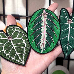 Alocasia Leaves Roller Skate Shoe Lace Patch Set 画像 4