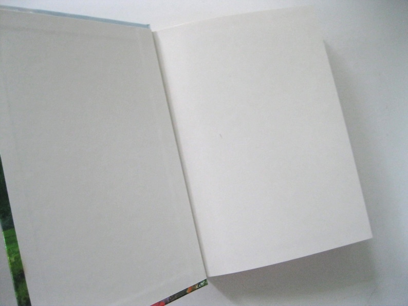 May include: An open book with blank white pages. The book's spine is visible on the left side, with a colorful floral pattern. The pages are clean and ready for writing or reading. The book's edges are a light blue.