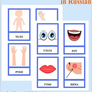 Flashcards sobre partes do corpo em russo | Cartões educativos para impressão | Aprenda partes do corpo em russo | Download instantâneo