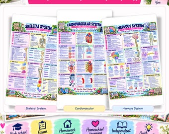 Anatomy & Physiology Study Bundle | 10 A4 PDF Cheat Sheets (Digital Download)