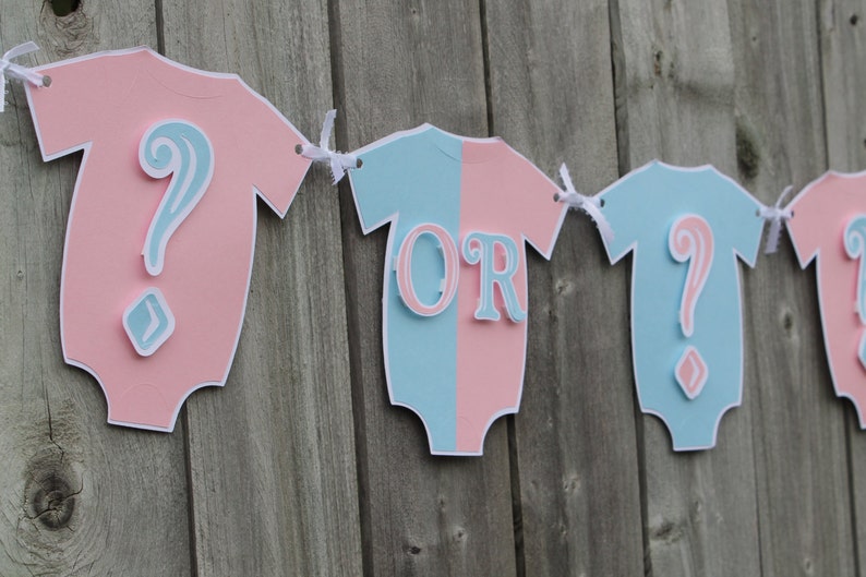 gender reveal banner image 3