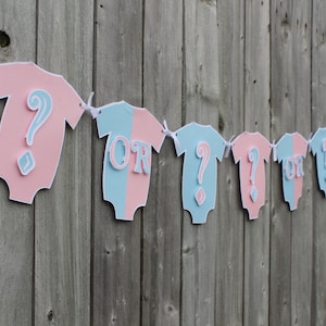 gender reveal banner image 1