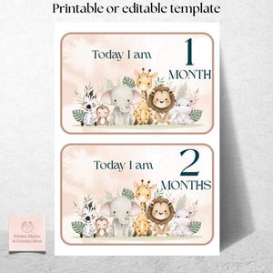 Può includere: Biglietti stampabili per i traguardi del bambino con animali della savana. I biglietti hanno una palette di colori tenui e neutri e includono il testo "Today I am" con i numeri 1 e 2, e la parola "Month" o "Months".
