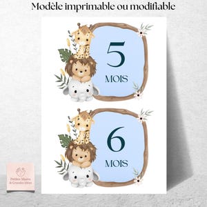 Cartes Étapes Bébé 0-12 mois + Premières Fois – 78 Cartes à Imprimer – 7 Modèles Différents – PDF & Lien Canva Modifiable – Format A4