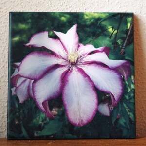 Azulejo cerámico Clematis, trivet, posavasos / flor roja violeta y blanca / día de la madre, azulejo decorativo