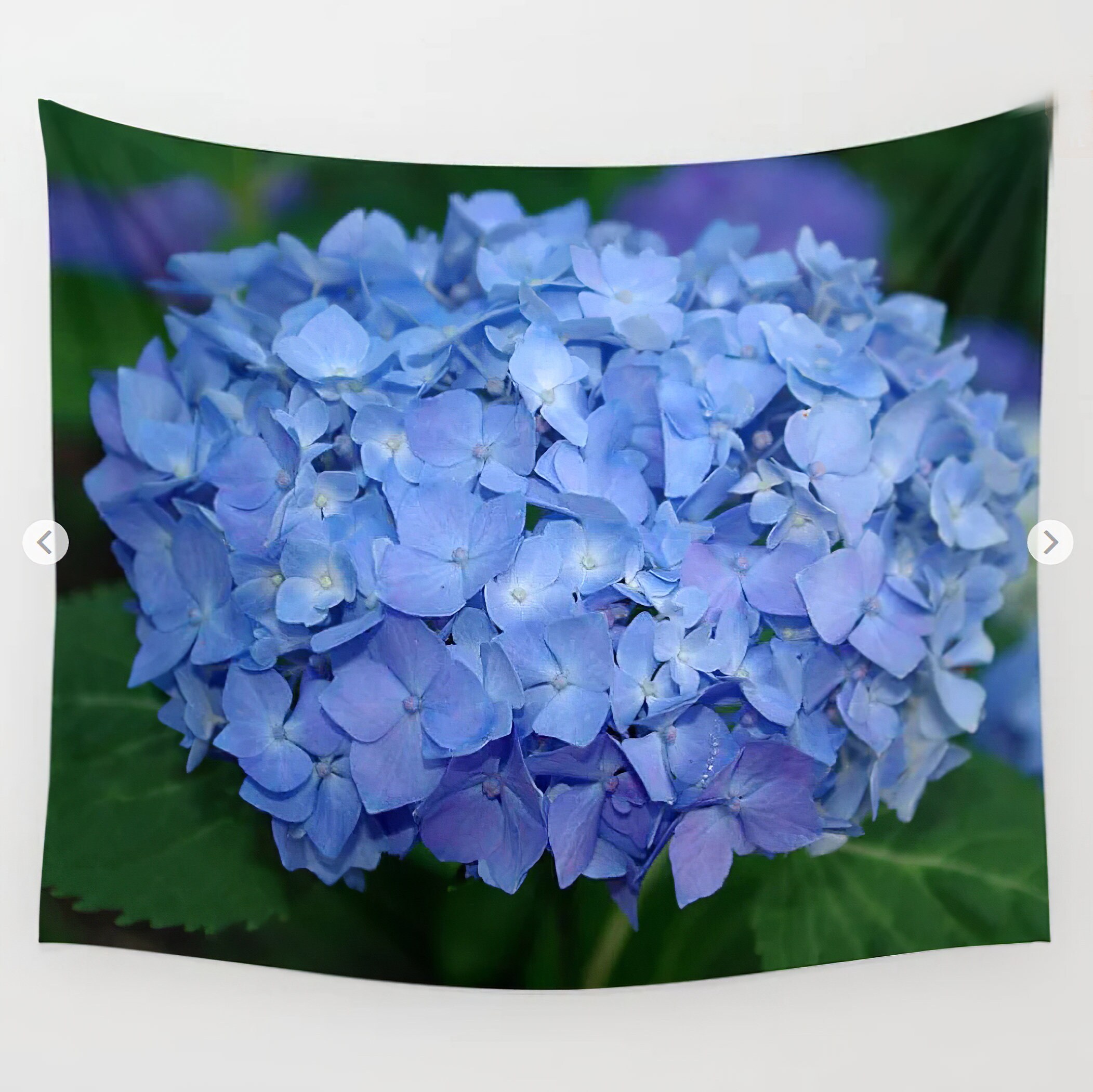 Blue hydrangea area rug Endless Summer flower floral home Etsy