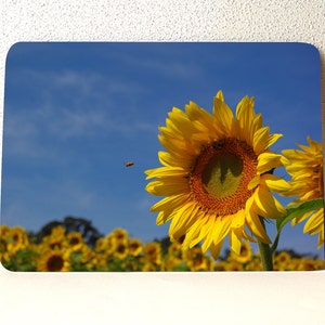 Sunny sunflower glass cutting board, Tempered Glass; photo 1180