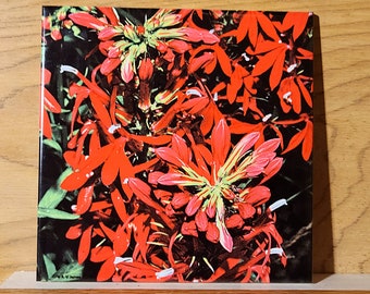 Cardinal Flower decorative ceramic tile, Lobelia trivet
