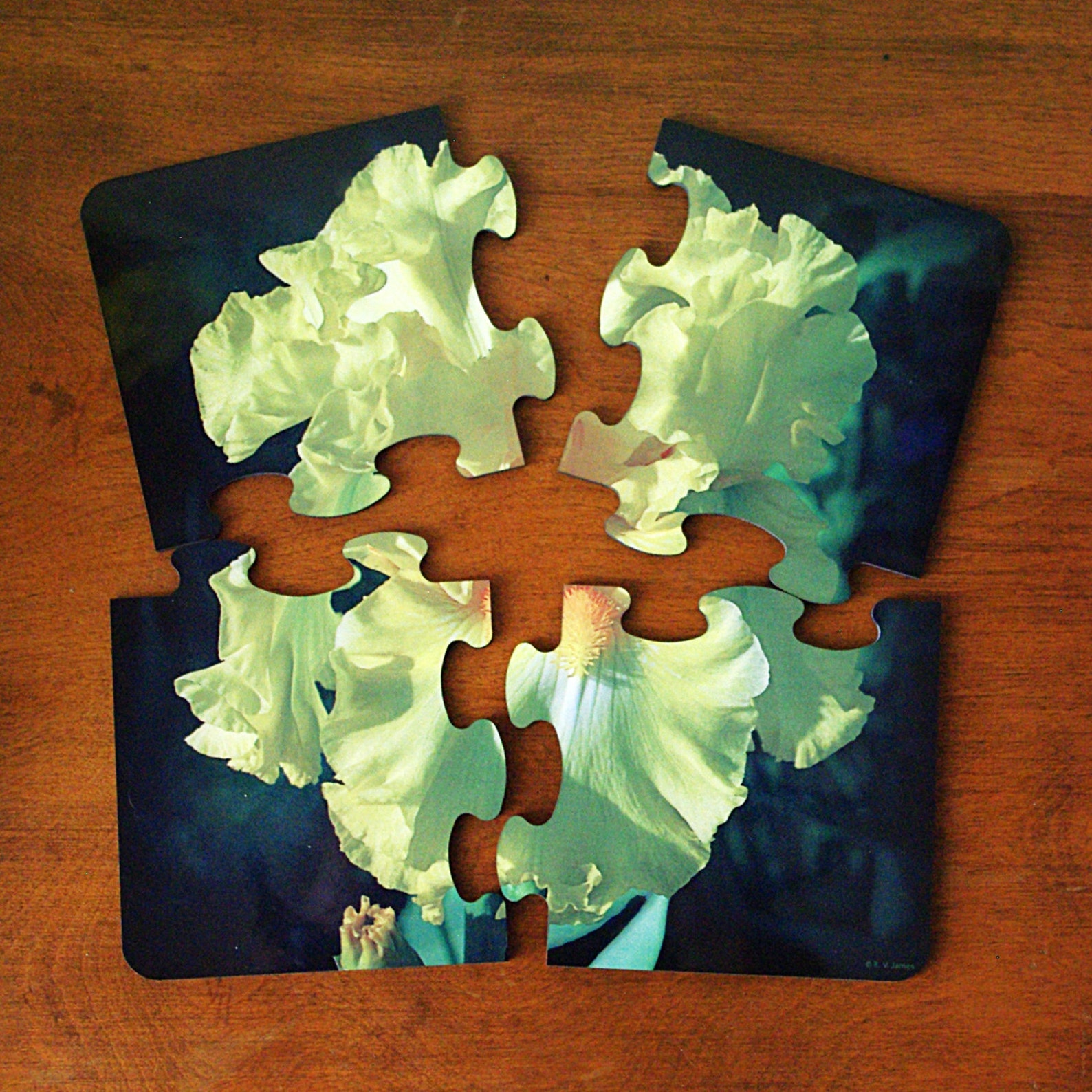 Coasters puzzle pieces make set of 4 coasters Iris flower Etsy