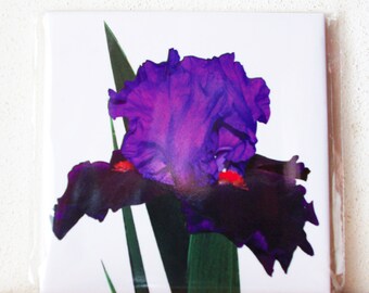 Iris Floral Ceramic Tile, Decorative Trivet, Housewarming Gift
