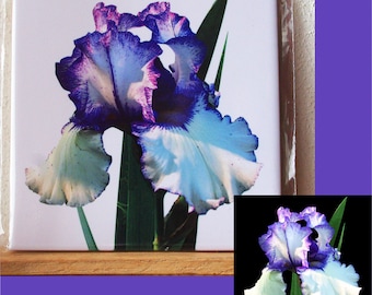 Iris Ceramic Tile Trivet, Floral Art Decor