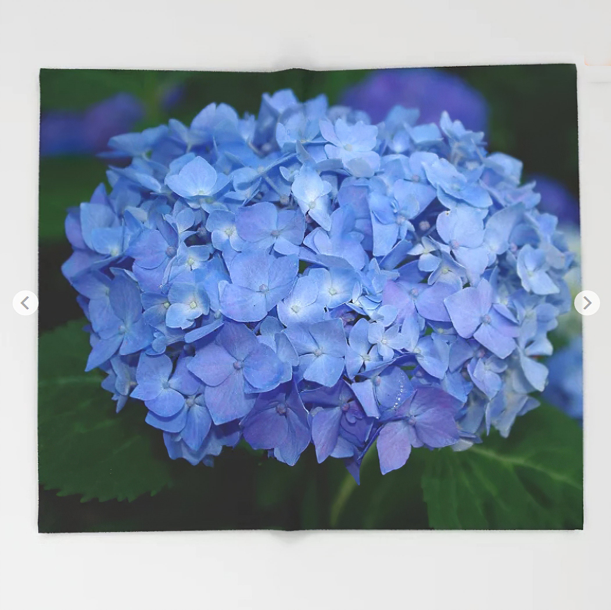 Blue hydrangea area rug Endless Summer flower floral home Etsy
